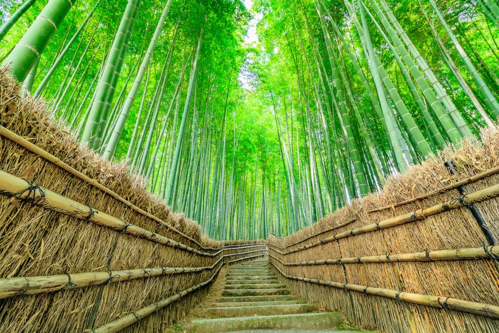 Best Things To Do in Kyoto | Japan’s Spiritual Sanctuary