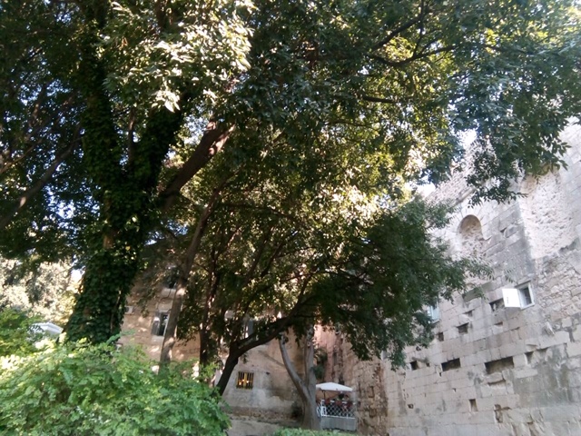 Discovering the Old Town of Split, Croatia