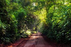 Iguazu Falls | A Guide to South America’s Legendary Natural Wonder
